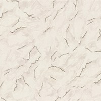 Обои HC31181-22pl Палитра